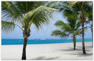 Viva Wyndham V Heavens beach Viva Wyndham V Heavens beach